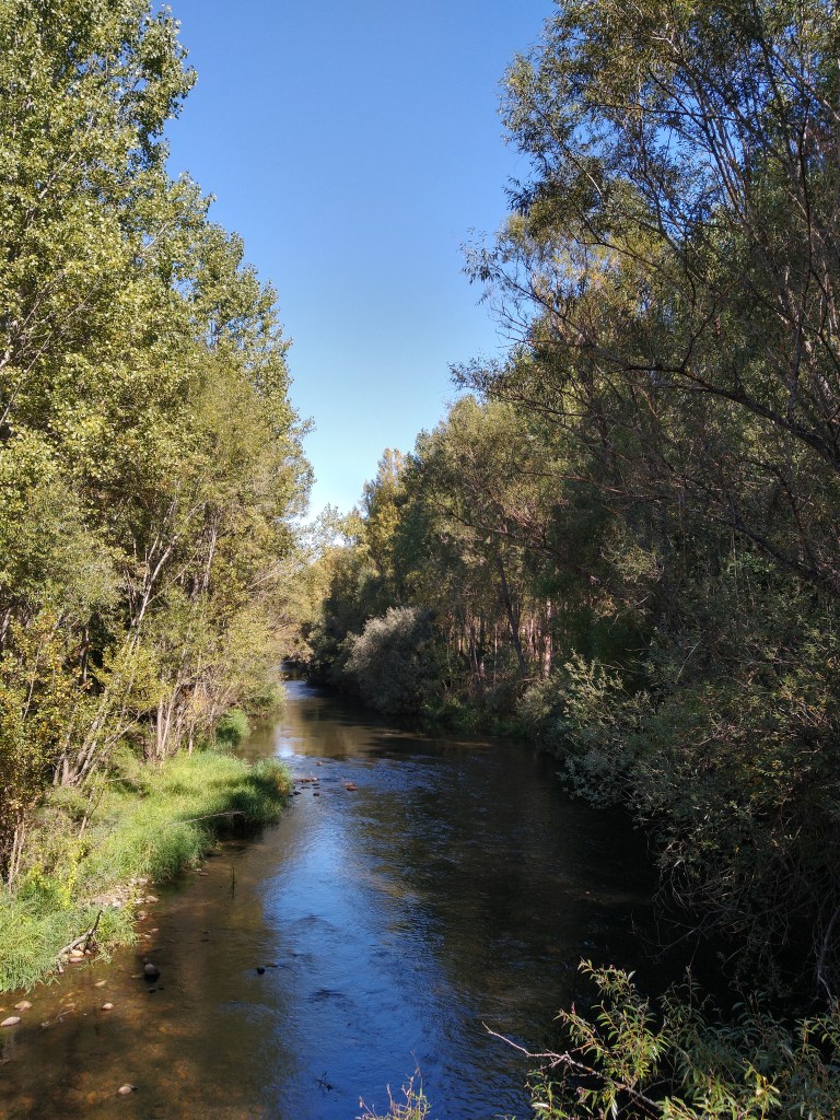 el Rio Bernesga