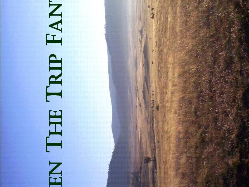 Lighten the Trip&nbsp;Fantastic